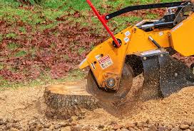 Trusted Richwood, WV Tree Care Experts
